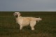 Thumbs/tn_chessie_imani_2009010.jpg