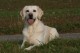 Thumbs/tn_chessie_imani_2009012.jpg