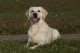Thumbs/tn_chessie_imani_2009013.jpg