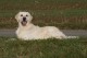 Thumbs/tn_chessie_imani_2009017.jpg