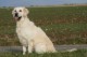 Thumbs/tn_chessie_imani_2009019.jpg