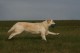 Thumbs/tn_chessie_imani_2009021.jpg