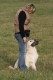 Thumbs/tn_chessie_imani_2009034.jpg