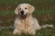 Thumbs/tn_chessie_imani_2009043.jpg