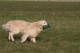 Thumbs/tn_chessie_imani_2009053.jpg