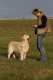 Thumbs/tn_chessie_imani_2009056.jpg