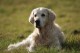 Thumbs/tn_chessie_imani_2009057.jpg