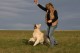 Thumbs/tn_chessie_imani_2009060.jpg